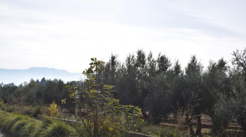 Granada - Villa de Otura - 2600m2