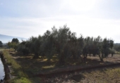 Non-developable land for sale on España, Villa de Otura, ref: TR408824 photo