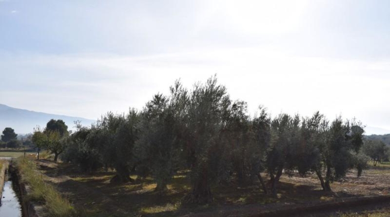 Granada - Villa de Otura - 2600m2