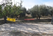 Non-developable land for sale on España, Villa de Otura, ref: TR408824 photo