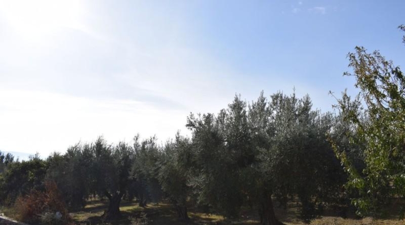 Granada - Villa de Otura - 2600m2