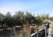 Non-developable land for sale on España, Villa de Otura, ref: TR408824 photo
