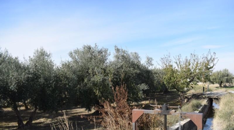 Granada - Villa de Otura - 2600m2