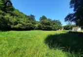 Detached villa with land for sale on España, San Miguel de Luena, ref: TR291575 photo