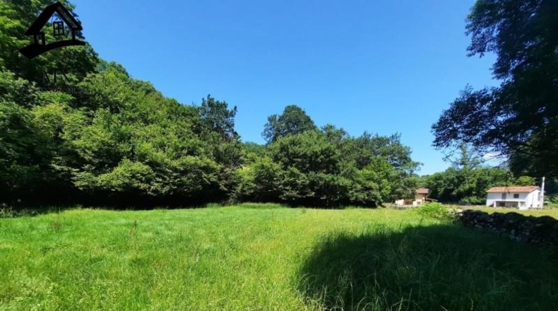 Cantabria - Resconorio - 6650m2