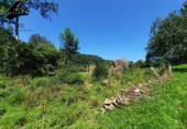 Detached villa with land for sale on España, San Miguel de Luena, ref: TR291575 photo