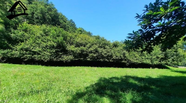 Cantabria - Resconorio - 6650m2