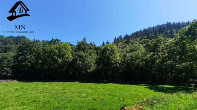 Cantabria - Resconorio - 6650m2