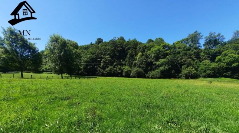 Cantabria - Resconorio - 6650m2