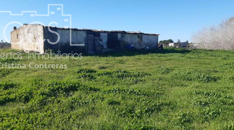 Huelva - Almonte - 30000m2