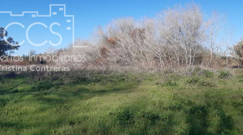 Huelva - Almonte - 30000m2