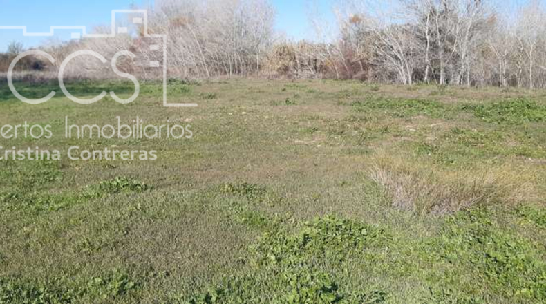 Huelva - Almonte - 30000m2