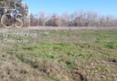 Земля на продажу у города Almonte Фото