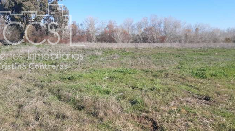 Huelva - Almonte - 30000m2