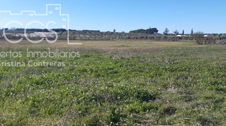 Huelva - Almonte - 30000m2