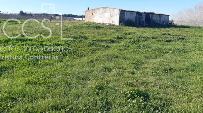 Huelva - Almonte - 30000m2