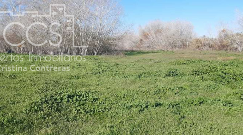 Huelva - Almonte - 30000m2