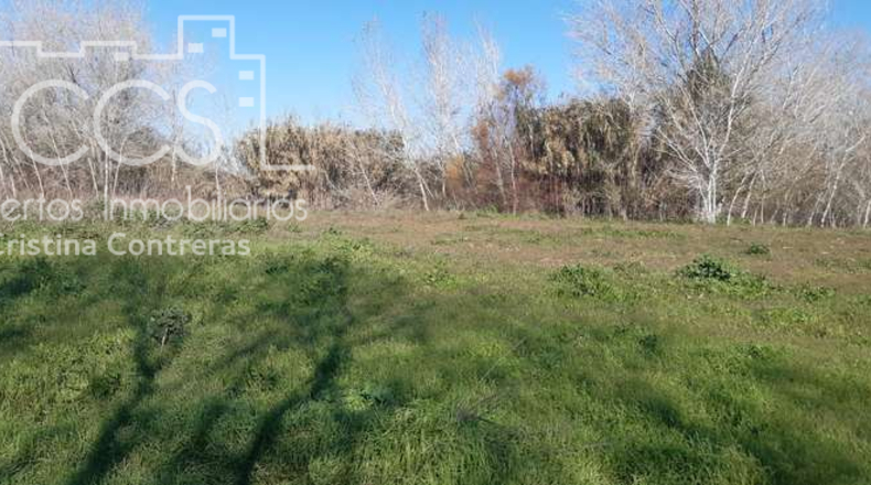 Huelva - Almonte - 30000m2