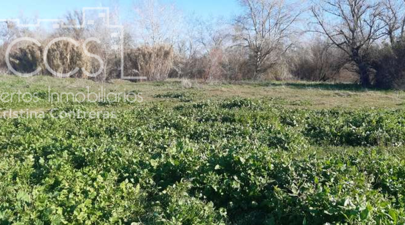 Huelva - Almonte - 30000m2