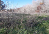 Земля на продажу у города Almonte Фото