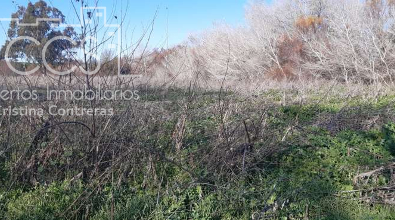 Huelva - Almonte - 30000m2