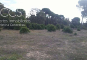 Земля на продажу у города Almonte Фото