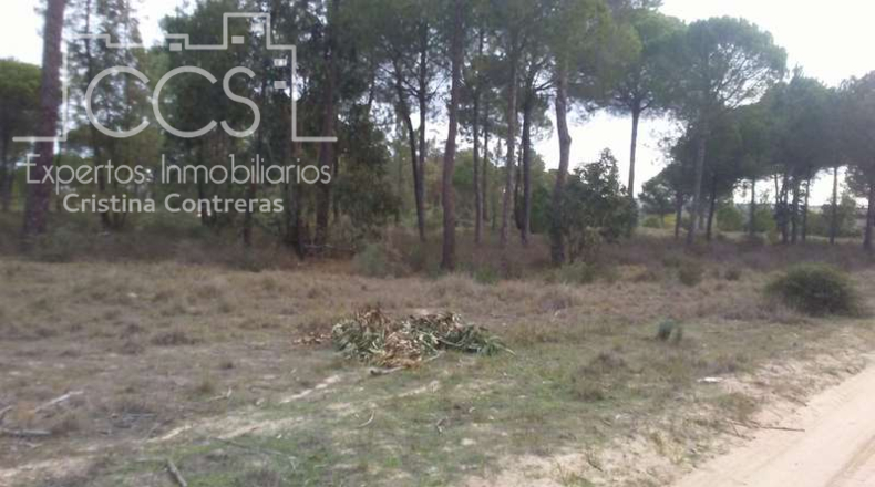 Huelva - Almonte - 84700m2
