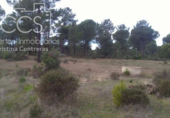 Земля на продажу у города Almonte Фото