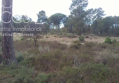 Земля на продажу у города Almonte Фото