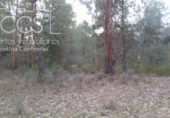 Земля на продажу у города Almonte Фото