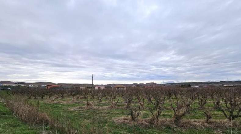 Navarra - Lodosa - 8977m2