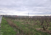 Земля на продажу у города Lodosa Фото
