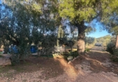 Chalet independiente con terreno en venta en la España, Camarles, ref: TR376734 foto