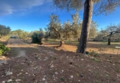 Chalet independiente con terreno en venta en la España, Camarles, ref: TR376734 foto