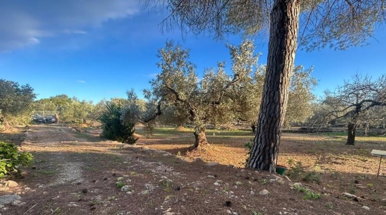 Tarragona - Camarles - 8361m2