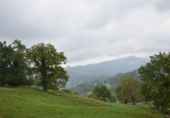 Finca rústica en venda a la España, Villacarriedo, ref.: TR303583 foto