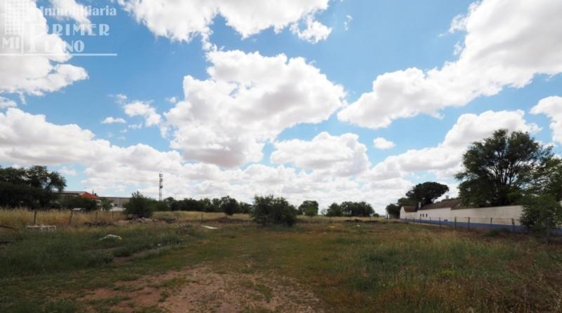 Ciudad Real - Argamasilla de Alba - 300000m2