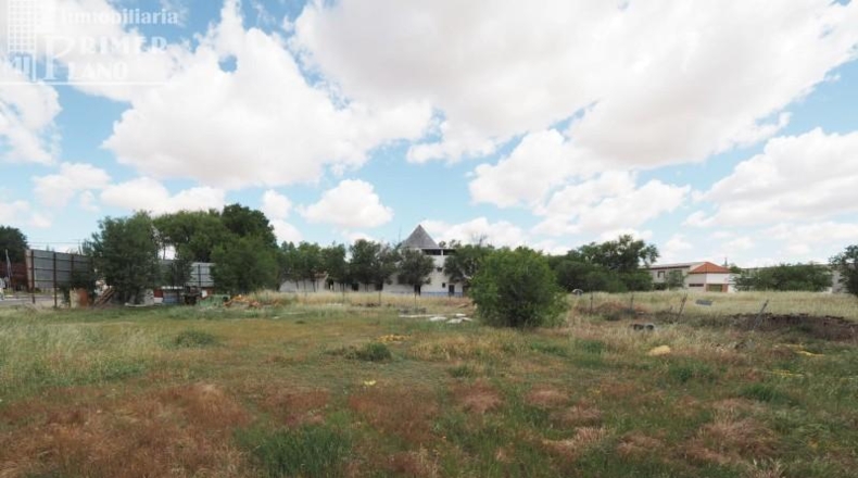 Ciudad Real - Argamasilla de Alba - 300000m2