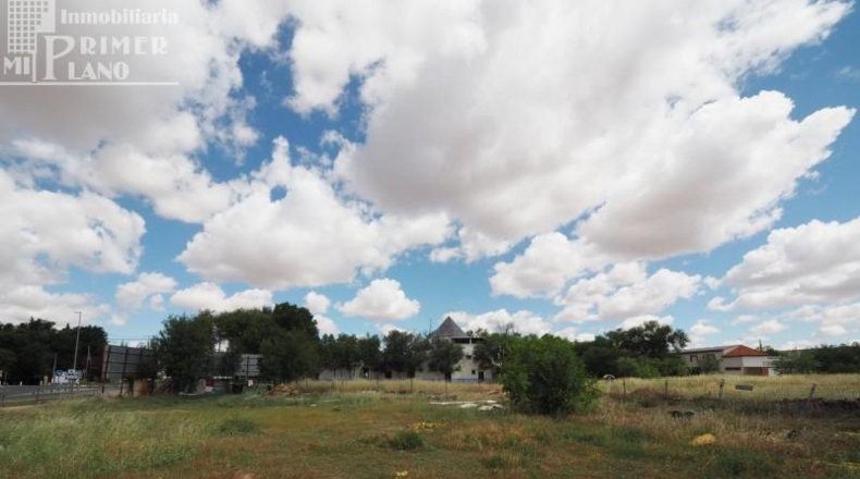Ciudad Real - Argamasilla de Alba - 300000m2