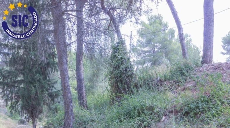 València - Godelleta - 7400m2