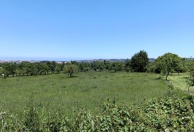 Gijón 1709&nbsp;m²