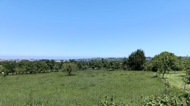 Asturias - Gijón - 1709m2