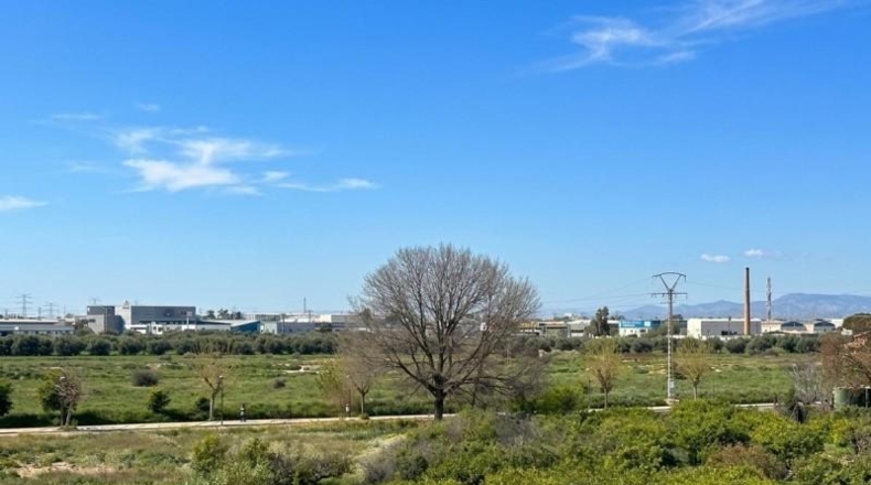 Murcia - Murcia - 199m2