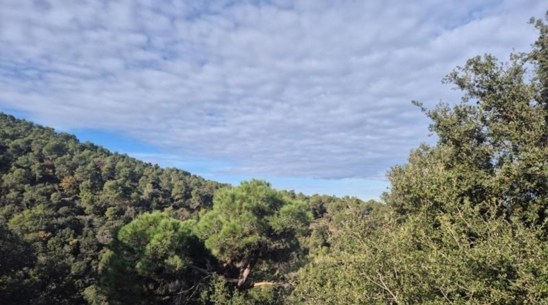Barcelona - Barcelona - 451m2