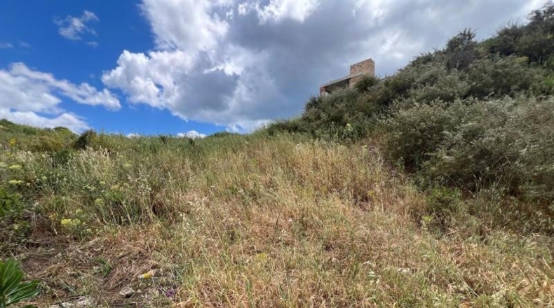 Malaga - Estepona - 533m2