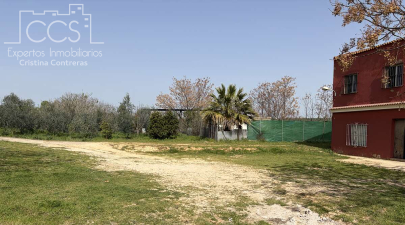 Sevilla - Pilas - 39764m2