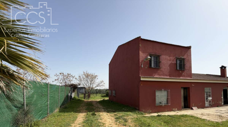 Sevilla - Pilas - 39764m2