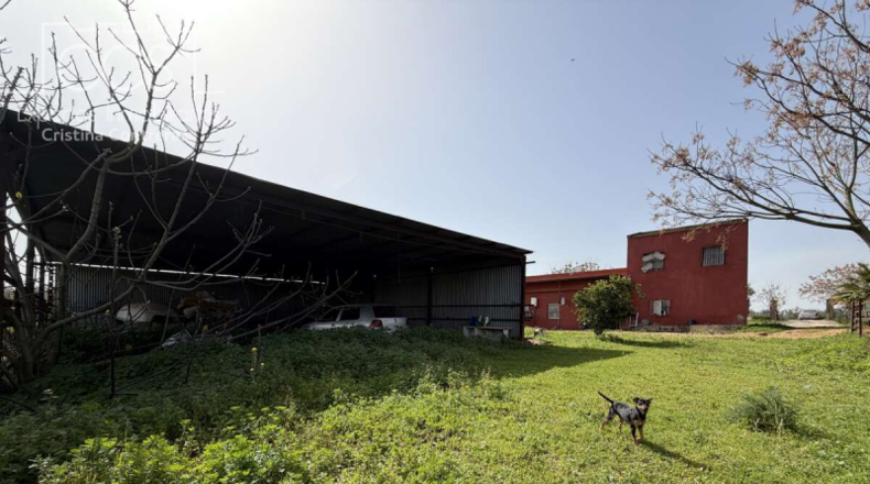 Sevilla - Pilas - 39764m2