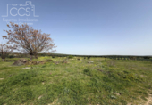 Xalet independent amb terreny en venda a la España, Pilas, ref.: TR404424 foto