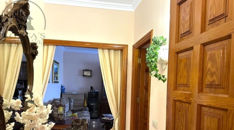 Santa Cruz de Tenerife - Icod de los Vinos - 3000m2